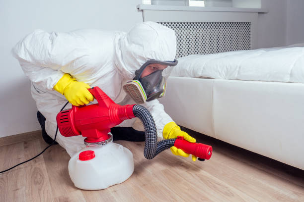 Best Affordable Pest Control Services  in West Park, FL